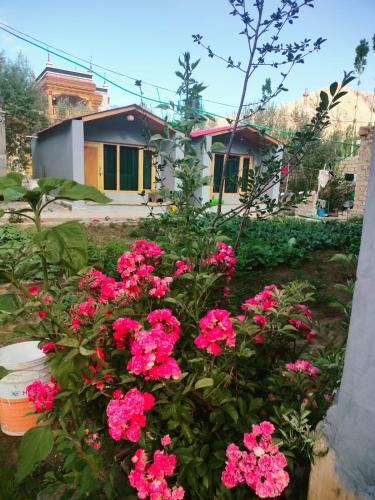 Shumahouse - image 2