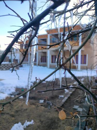 Shumahouse - image 4