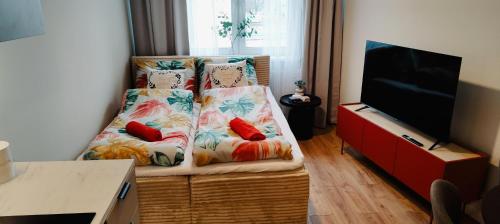 Apartament z Windą