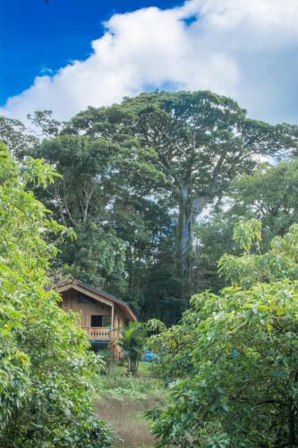 Cabañas Hoja Verde