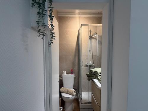 Fürdőszoba, Studio cosy & lumineux avec véranda privative (Studio cosy & lumineux avec veranda privative) in Libourne