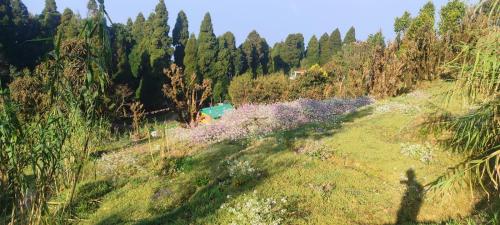 Tranquil Retreat in the Heart of Darjeeling Hills in Sonada