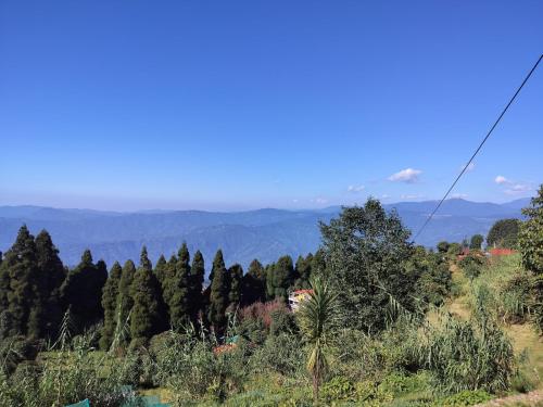 Tranquil Retreat in the Heart of Darjeeling Hills in Sonada