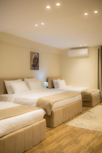 Withaq Pyramids Inn - image 5