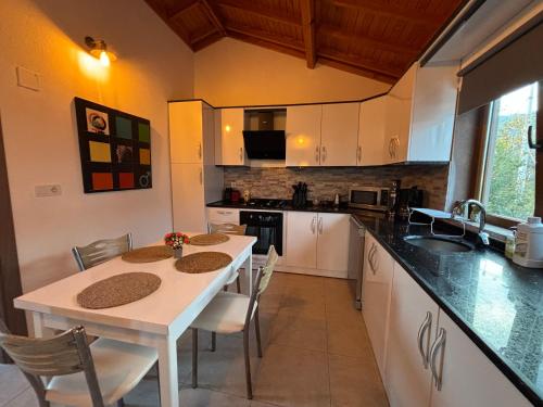 Assos Dublex Villa with Sea View & Private Garden in Kozlu