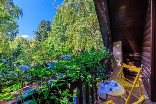 Holiday Homes with Pool in Breze 54922 in Breze