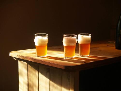 Casa rural Cervecera Les Canyes in Pontons