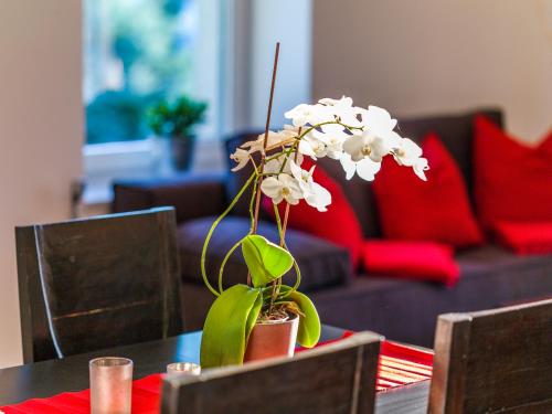  Apartment Zittera - Adults only, Pension in Innsbruck