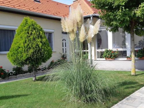 Apartment in Bük im Parterre mit Garten by Interhome – khách sạn tại Buk
