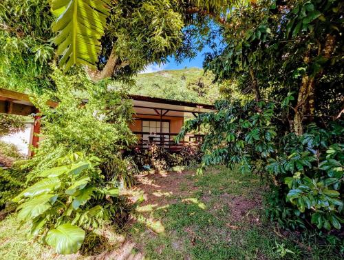 Kert, Tropical paradise near Taahiamanu beach in Piha'ena