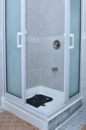 Duncan Street Guesthouse - image 2