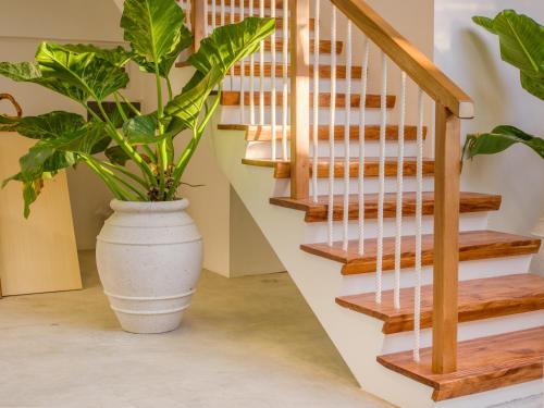 Biosphere Beach in 芭環礁