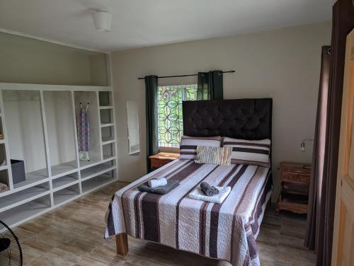 A Caribbean Oasis in Claremont