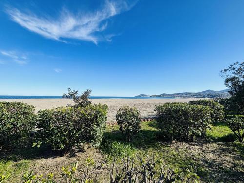 Argelès-sur-Mer : T2 bis face plage, loggia vue mer - FR-1-309-254
