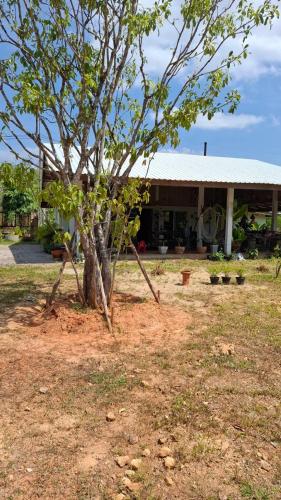 Exterior view of Anna Garden Homestay