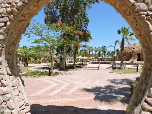 Jardín, TIME Coral Nuweiba Resort in Nuweiba