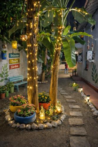 حديقة, Solar House Hotel in Tangalle
