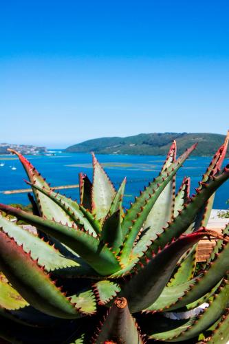 THEBLOEM Guest Suites by Knysna Paradise Collection - image 4