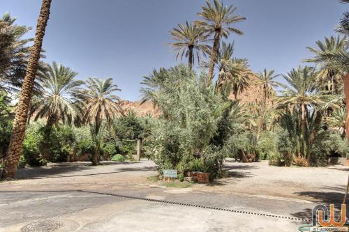 RIAD Camping ATLAS RIAD Camping ATLAS