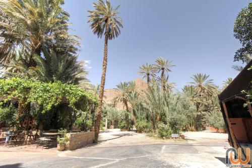 RIAD Camping ATLAS RIAD Camping ATLAS