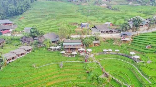 Cơmlam Eco House