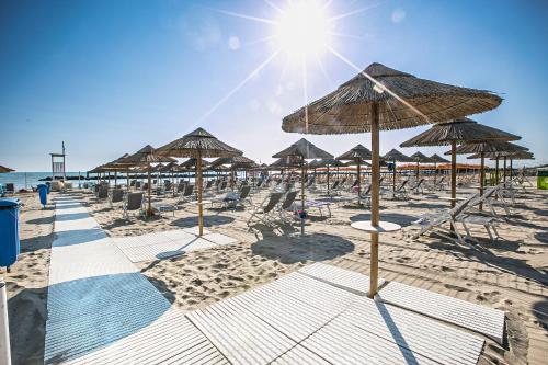 Sea Lion Hotel in Montesilvano