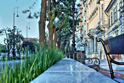 Hotel Central - image 13