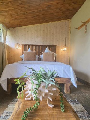 Rustique, Graskop