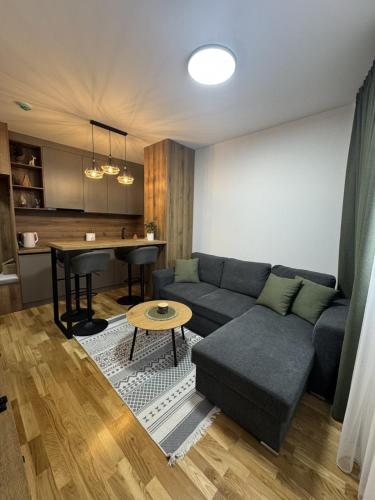 Apartment A1 1 Aparthotel Vucko Private host