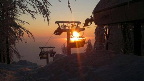 Omgeving, Apartmany pod sjezdovkou in Cenkovice