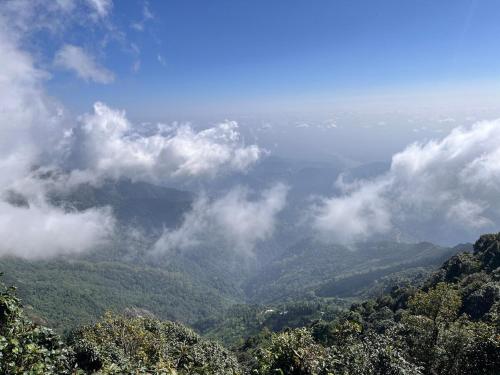 Surrounding environment, Pine Tree Homestay in Lower Mamring Khasmahal