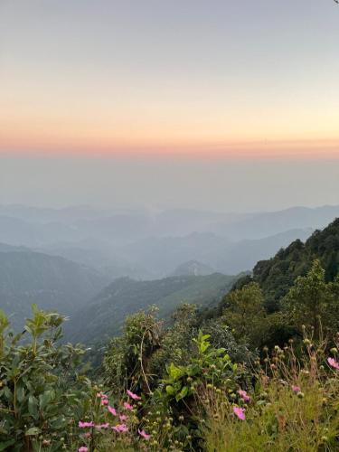 Nearby attraction, Pine Tree Homestay in Lower Mamring Khasmahal