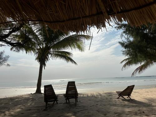 Beach, TinJaLa Lodge in Brufut