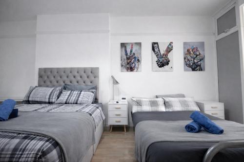 Large Studio Garden Flat on Golders Green Road 2