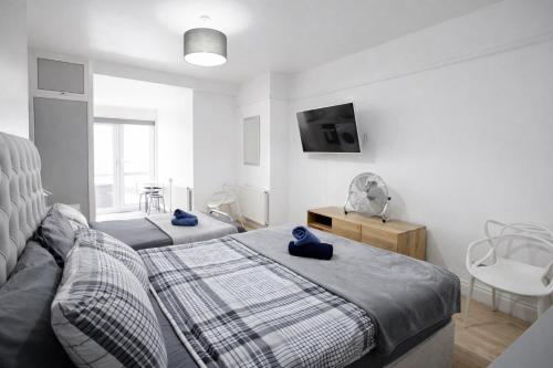 Large Studio Garden Flat on Golders Green Road 5