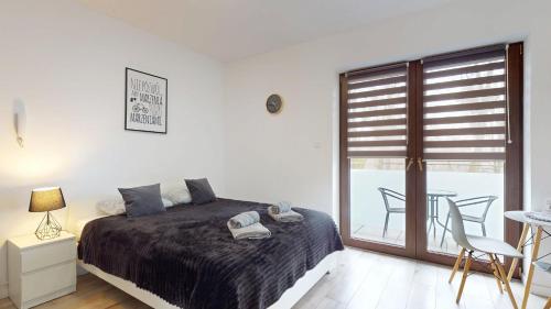 Studio Fibra Lungo - Rybnik