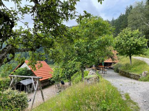Schmalzerhisli in Oberwolfach