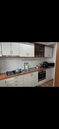 Rotonda apartment in Lugoj