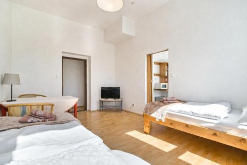 Dusan Apartments in Orlova