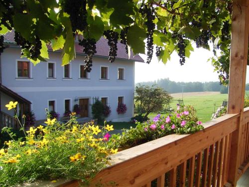Hanauerhof in Schönsee, Deutschland