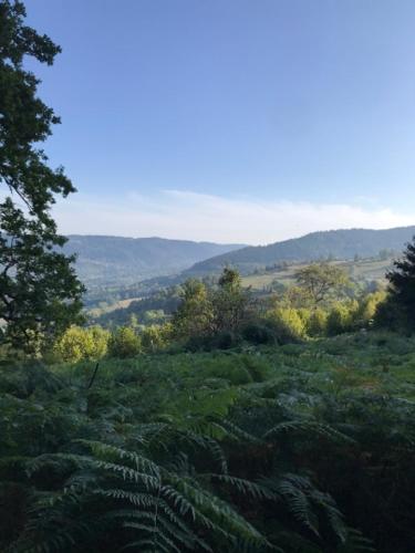 Cozy chalet in the Vosges with scenic views in 巴塞萊呂普河畔