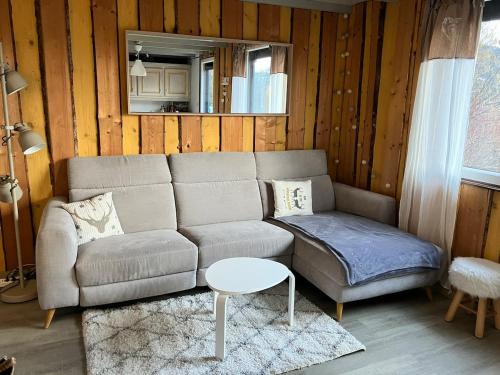 Cozy chalet in the Vosges with scenic views in 巴塞萊呂普河畔