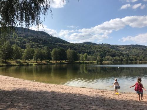 Cozy chalet in the Vosges with scenic views in 巴塞萊呂普河畔