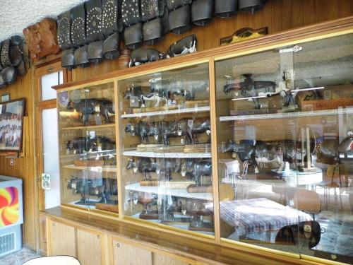 Hotel Mochettaz - image 10