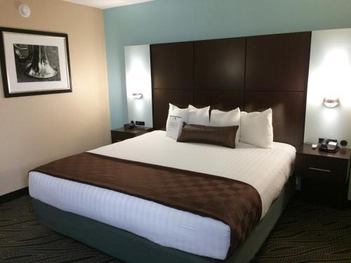 Best Western Plus Galleria Inn & Suites - image 7