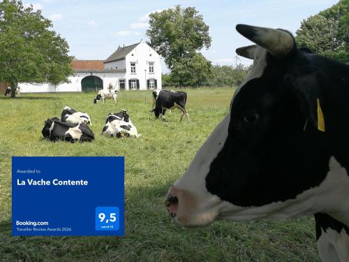 La Vache Contente, Maastricht (photo 9)
