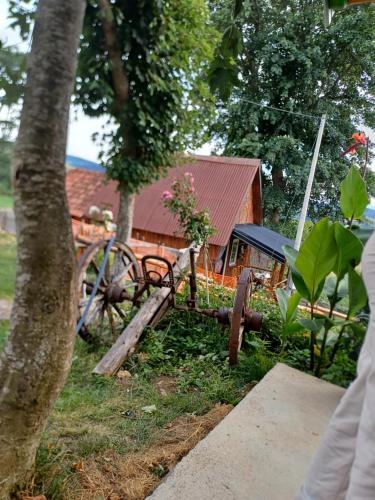 Dārzs, Kod sestre i brata - Kudra in Kusici