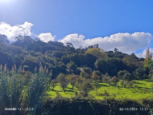 Galamares Nest in Galamares