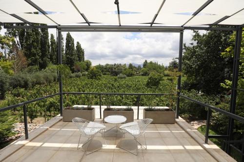 Finca Adalgisa Wine Hotel Mendoza in 루한 데 쿠요