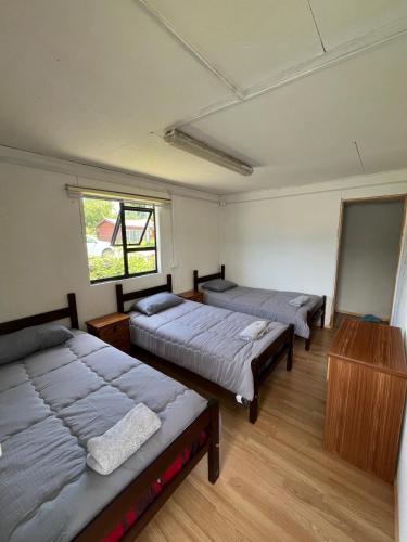 Central Apartment